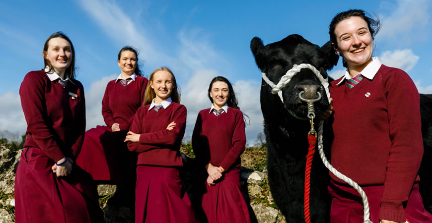  Certified Irish Angus Beef Schools Competition